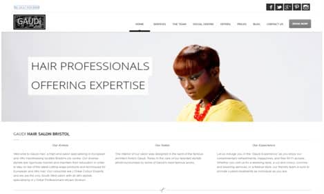Hairpress WordPress theme website development and support