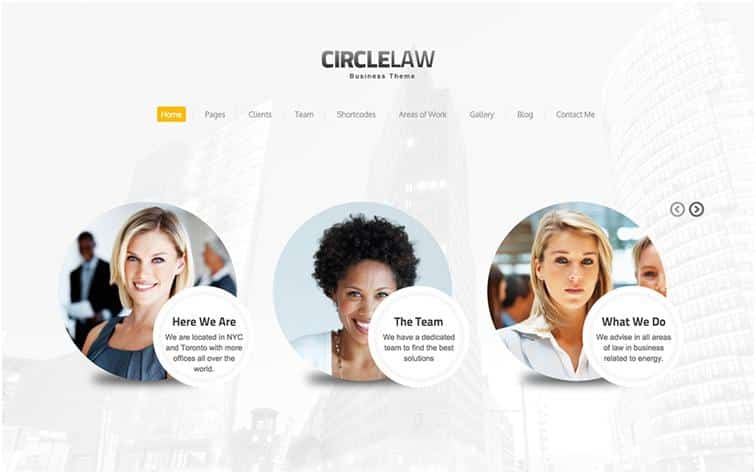 CircleLaw WordPress Law Theme Development & Support
