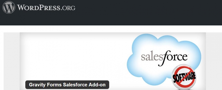 Customize and Style a WordPress to SalesForce Website Lead Form