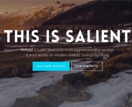 Salient Theme Custom Development with CSS, HTML, PHP, and JavaScript
